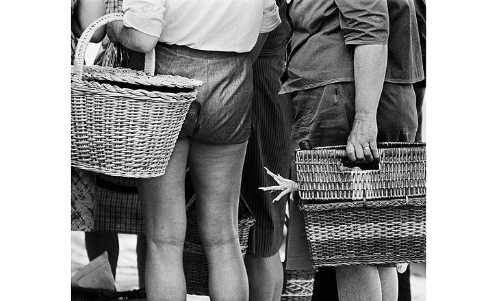 articulos_fotos_foto2_117