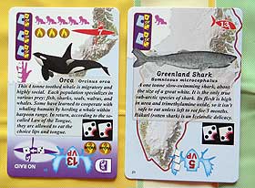 Piezas a cazar en el sur. Profusión de iconos y de texto